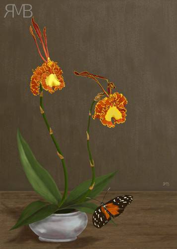 Psychopsis mariposa